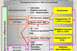 ПЦР диагностика туберкулеза