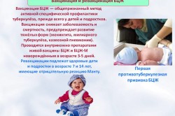 Вакцинация и ревакцинация БЦЖ