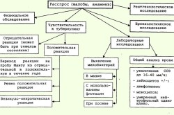 Диагностика туберкулеза