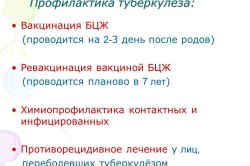 Профилактика заболевания туберкулезом