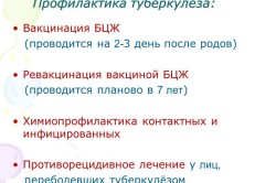 Профилактика туберкулеза