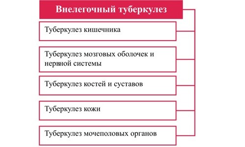 Виды внелегочного туберкулеза Виды внелегочного туберкулеза