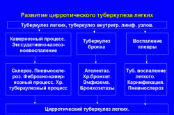 Развитие цирротического туберкулеза Развитие цирротического туберкулеза